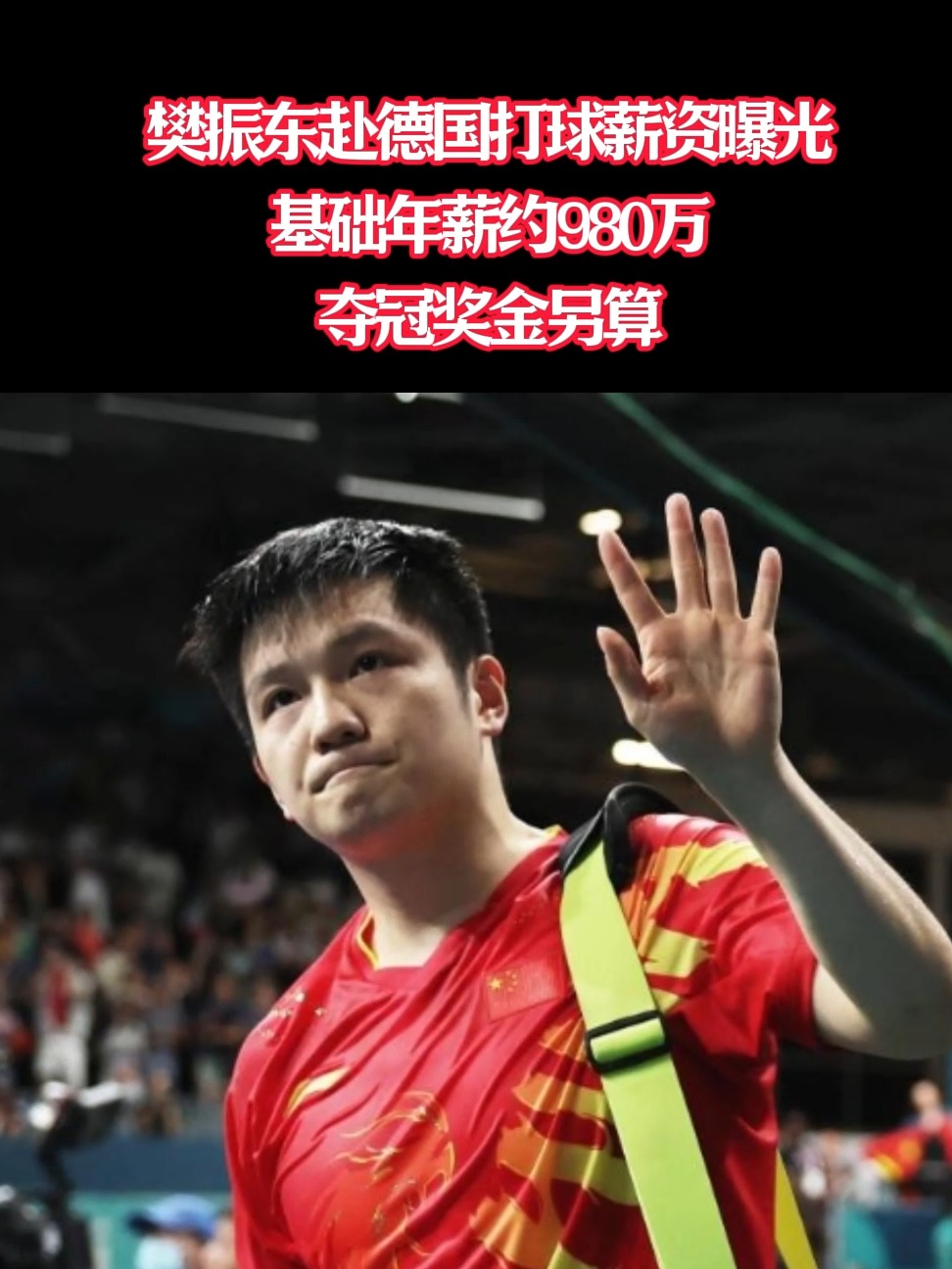 韩国乒乓球队强势德国乒乓球队,樊振东送出助攻的简单介绍 韩国乒乓球队强势德国乒乓球队,樊振东送出助攻的简单介绍